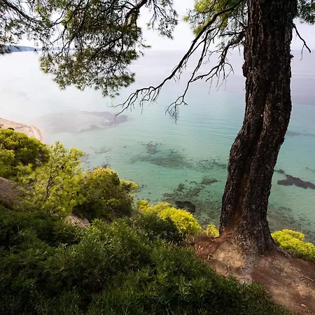 Villa Sani Pool Sani (Chalkidiki)