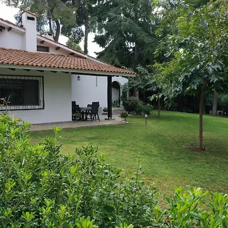 Sani Pool * Сани-Бич