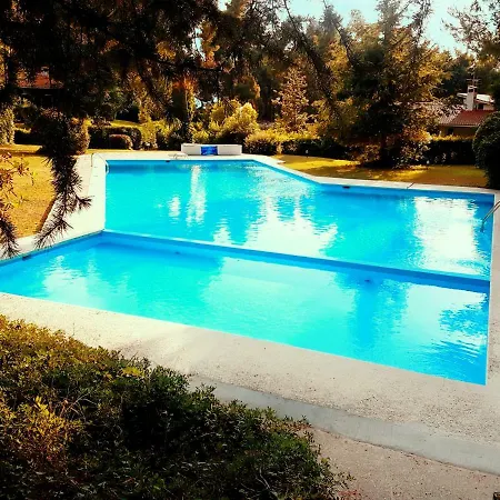 Sani Pool *