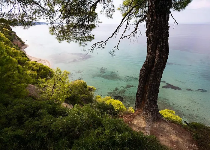 Вилла Sani Pool Сани-Бич